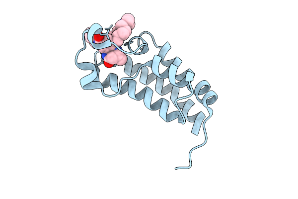 9GET image