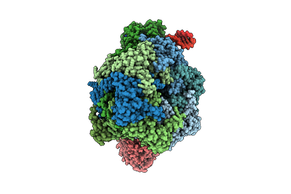 9GEV image