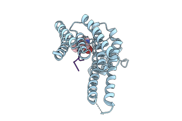 9GFA image