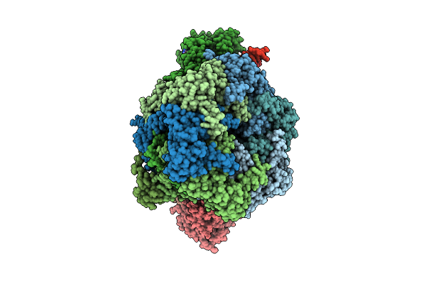 9GFB image