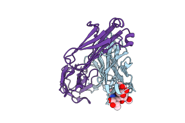 9GFF image