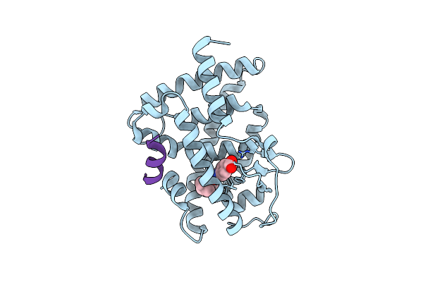 9GFI image