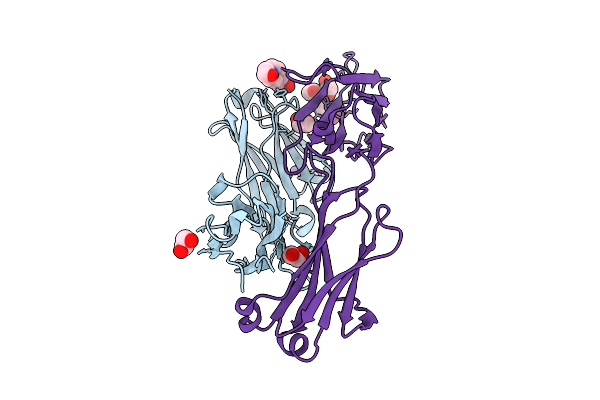 9GFL image