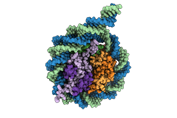 9GFM image
