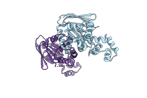 9GFP image