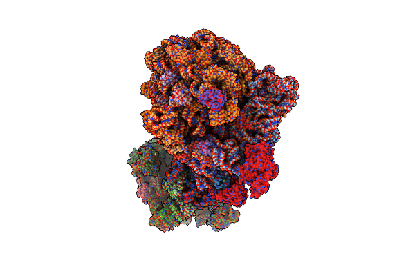 9GFT image