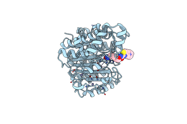 9GGH image