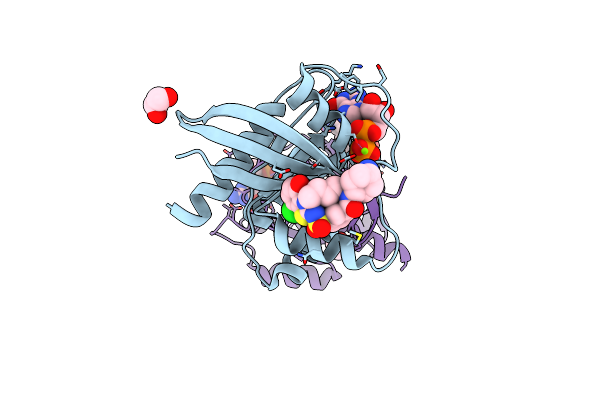 9GGW image