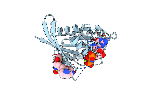 9GH0 image