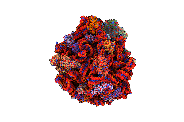 9GHA image