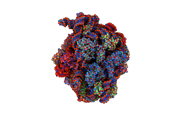 9GHD image