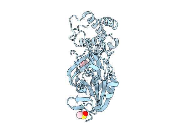 9GHO image
