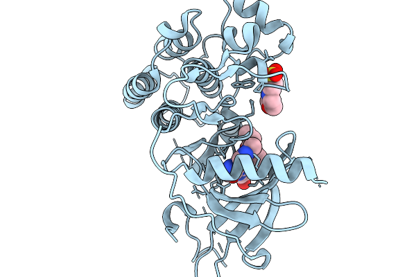 9GHV image