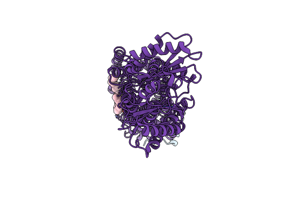 9GI0 image