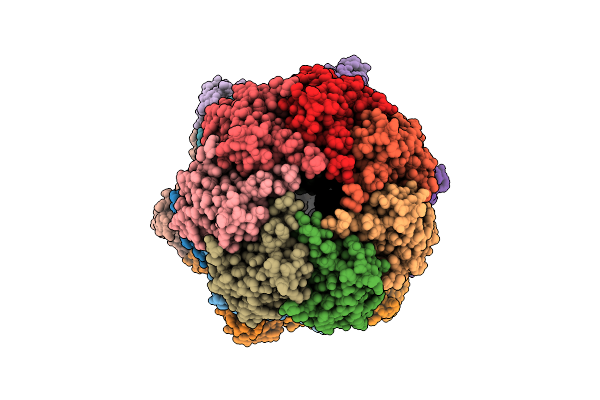 9GI1 image