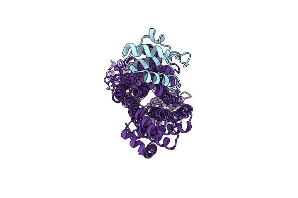 9GI2 image