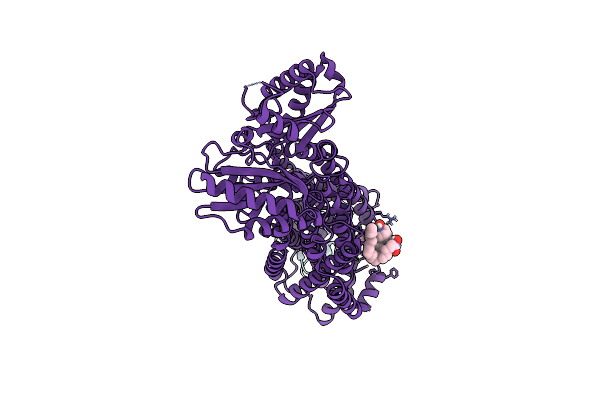 9GI3 image