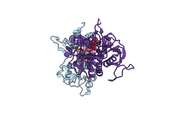 9GIB image
