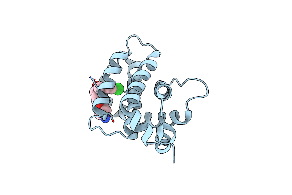 9GIP image