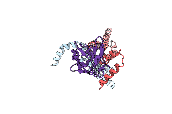 9GIX image