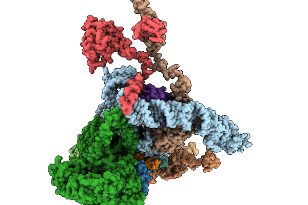 9GJ5 image