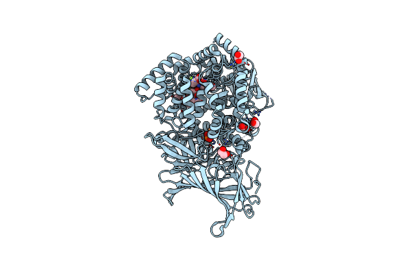9GJS image