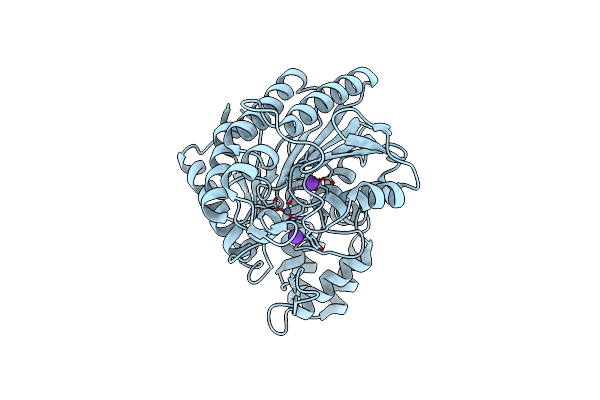 9GL1 image