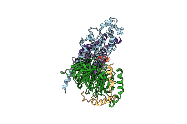 9GL2 image