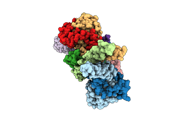 9GLC image