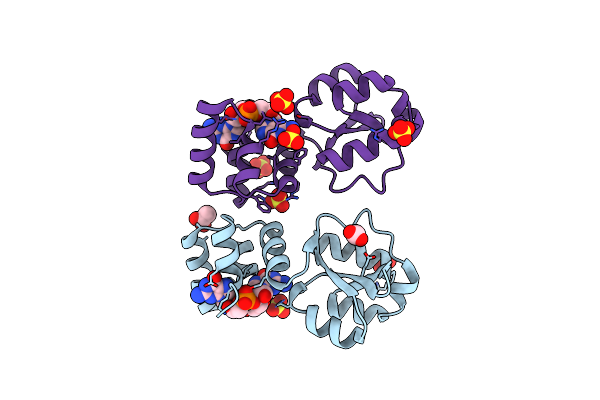 9GLG image