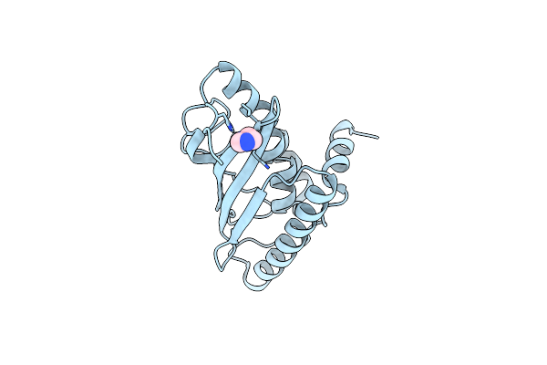 9GLK image