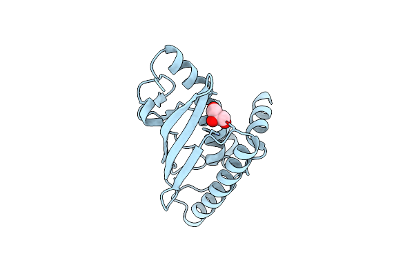 9GLM image