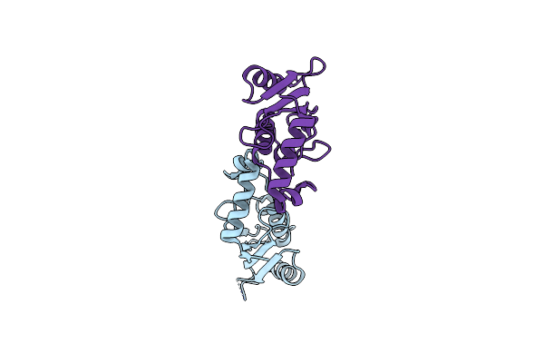 9GLT image
