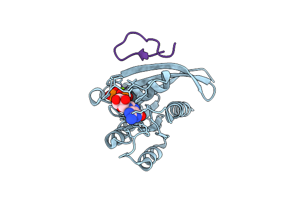 9GLW image