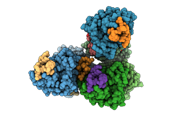 9GLX image