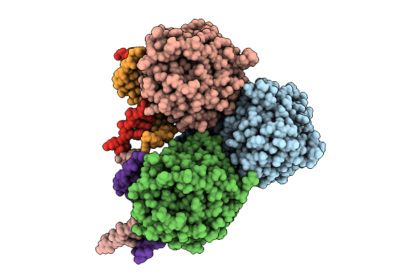 9GM2 image