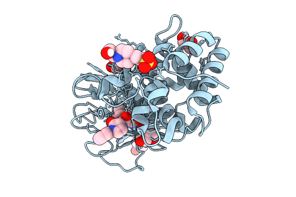 9GM4 image