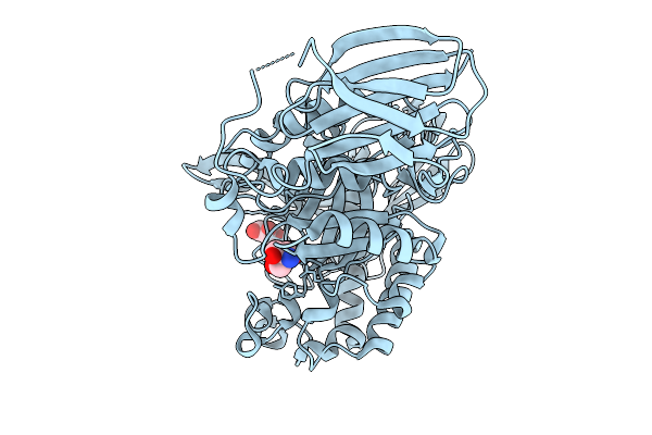 9GMJ image