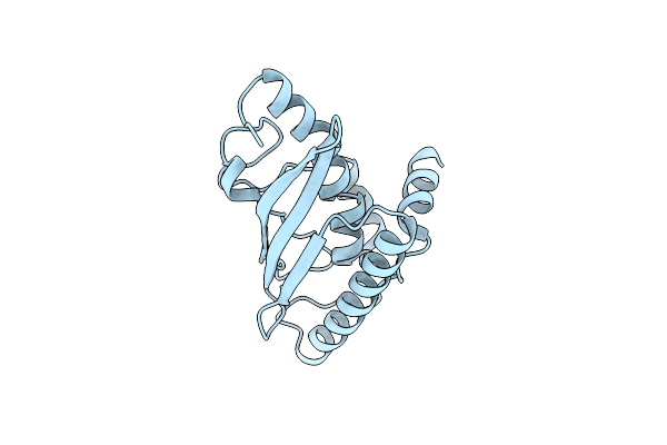 9GMN image