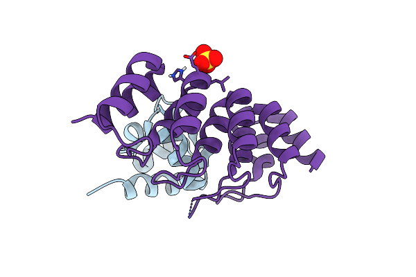 9GNB image
