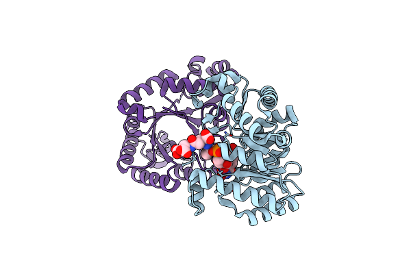 9GNC image
