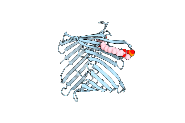 9GNG image