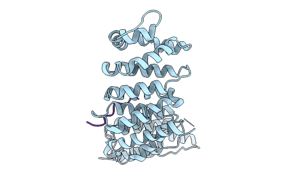 9GNJ image