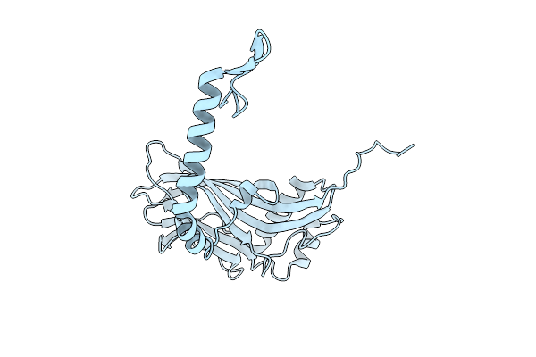 9GNP image