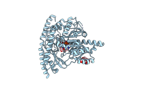 9GNS image