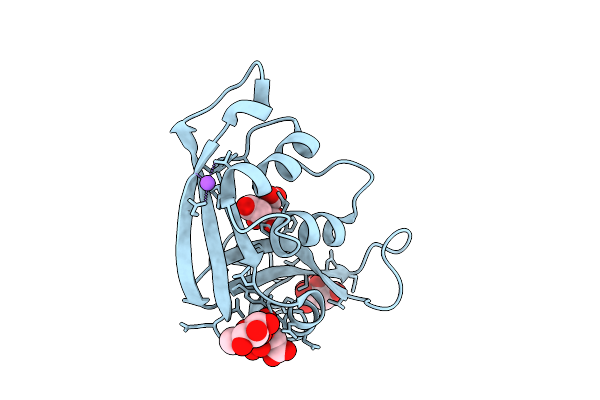 9GNT image