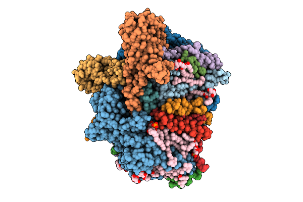 9GNW image