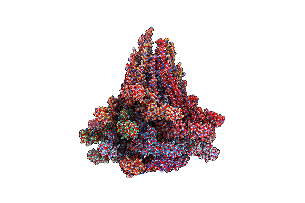 9GNZ image