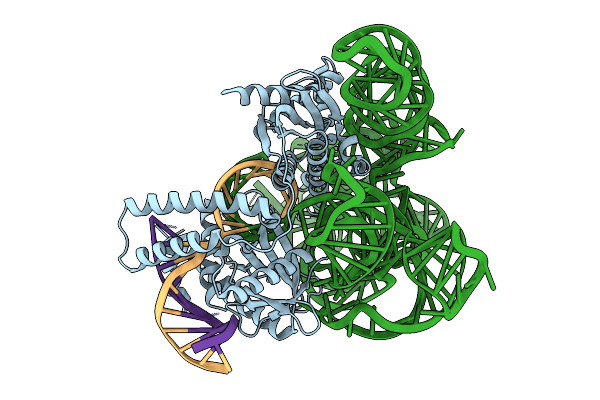 9GO0 image