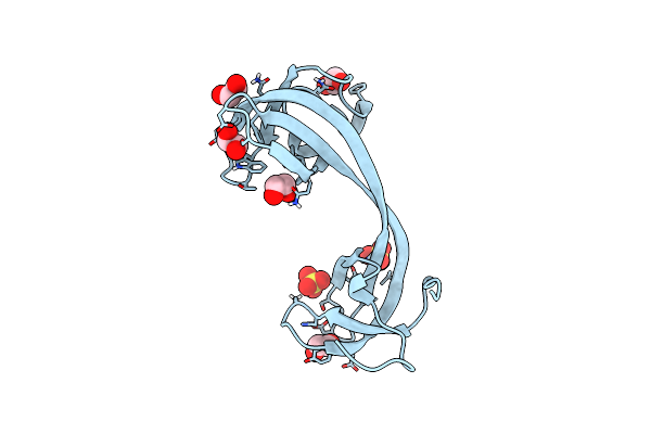 9GP4 image